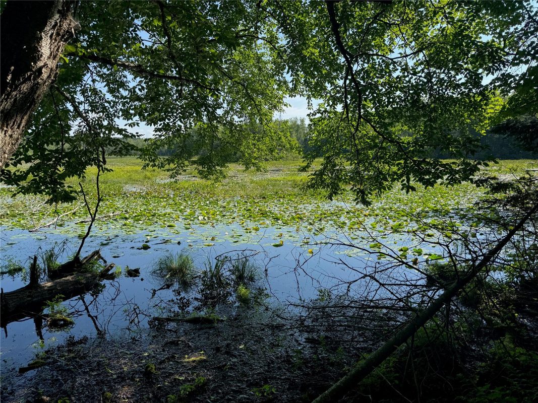 Lot 8 Crane Lane, Hayward WI 54843 - Land house for sale - MLS #1603375 - image28