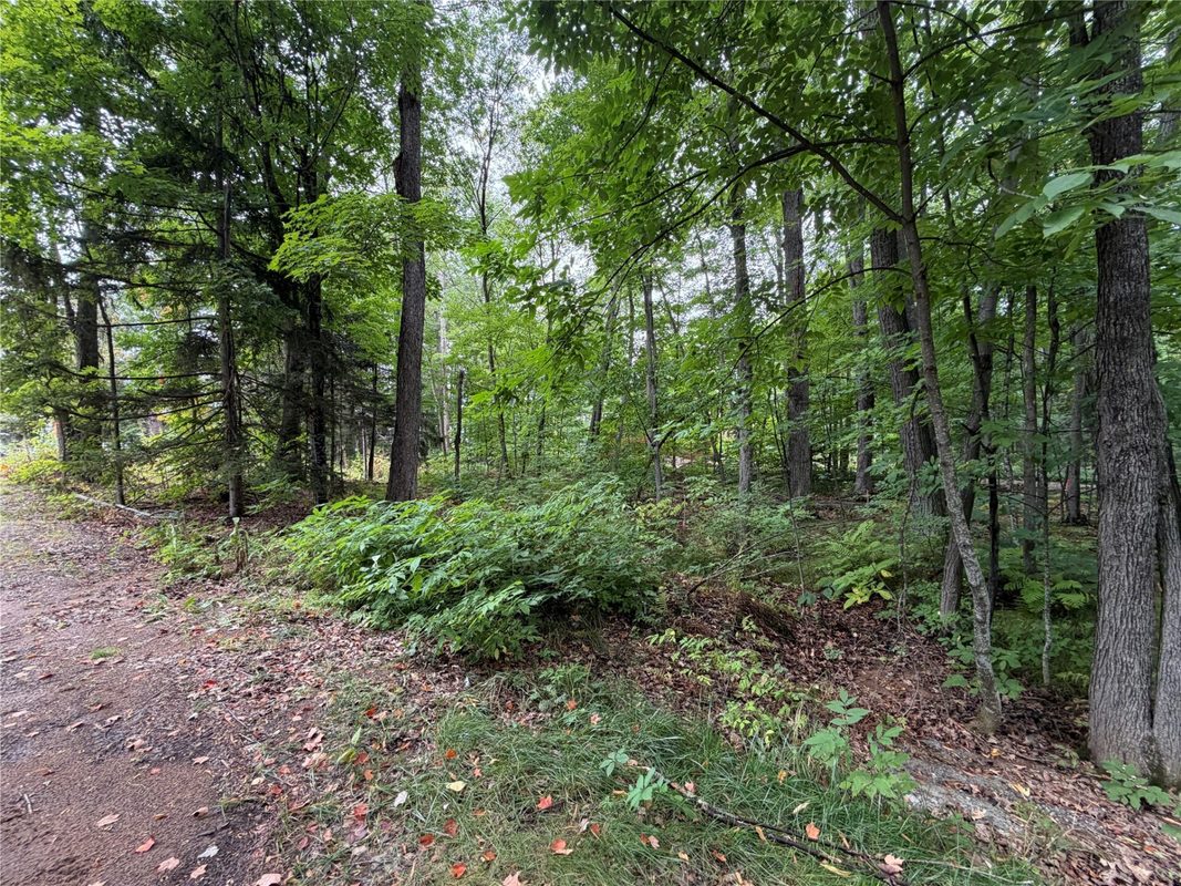 6073 Elsie Road, Stone Lake WI 54876 - Land house for sale - MLS #1602616 - image47