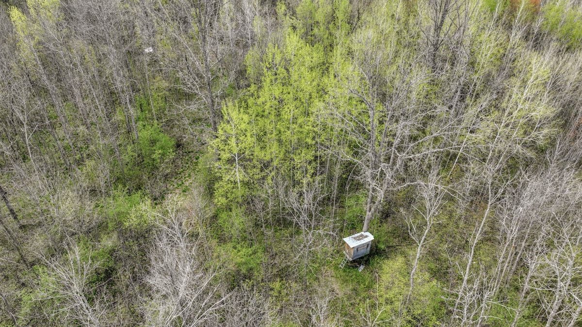 27.6 Acres off Helena Drive, Conrath WI 54731 - Land house for sale - MLS #1605499 - image7