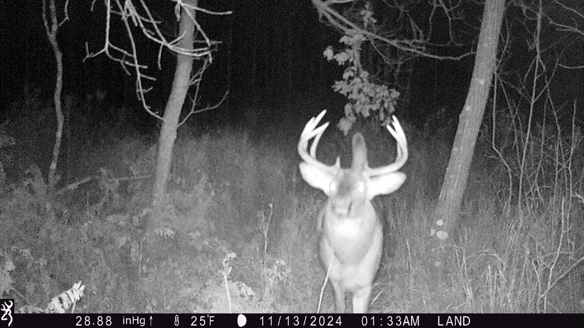 Lot 4 160th Avenue, Turtle Lake, WI — photo 11