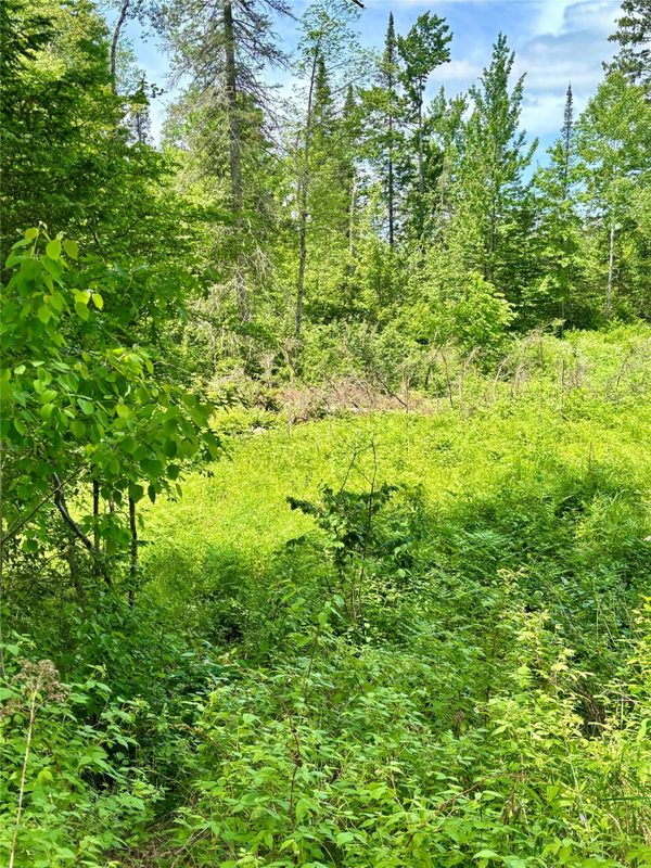 16550 Ridgerock Road, Hayward WI 54843 - Land house for sale - MLS #1591202 - image5