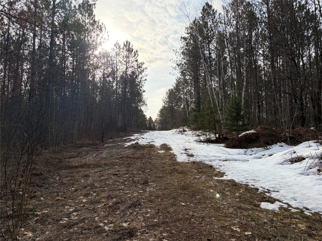 ON Barker Lake Road, Winter WI 54896 - Land house for sale - MLS #1599276 - image5