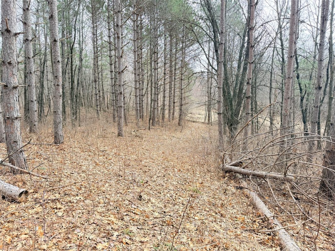 Lot 3 Big Lake Drive, Osceola WI 54020 - Land house for sale - MLS #1599897 - image13