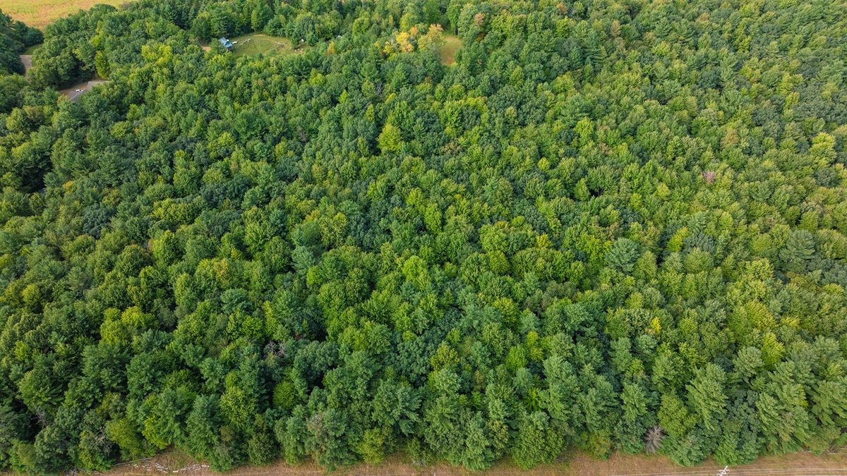 TBD 815th Avenue, Menomonie WI 54751 - Land house for sale - MLS #1605596 - image2