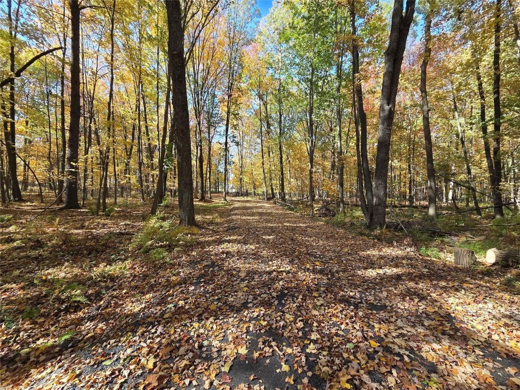 2541 County Hwy D, Boyd WI 54726 - Land house for sale - MLS #1605930 - image16