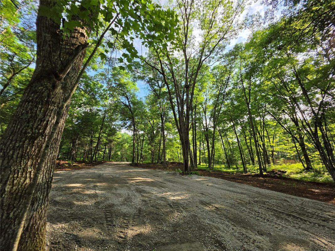 27646 295th (Lot 14) Avenue, Holcombe WI 54745 - Land house for sale - MLS #1602155 - image5