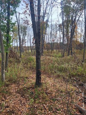 W7943 Moonlite Road Neillsville WI 54456