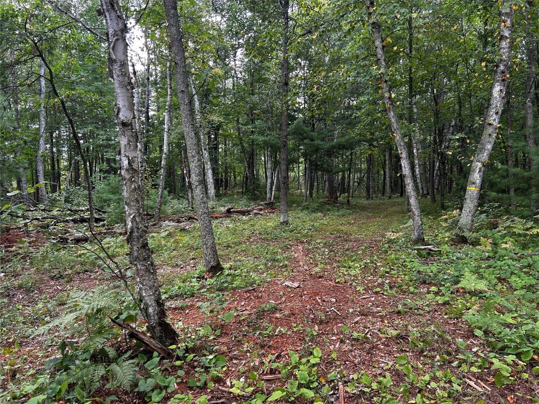 Lots 5 & 6 State Highway 70, Spooner WI 54801 - Land house for sale - MLS #1604806 - image49