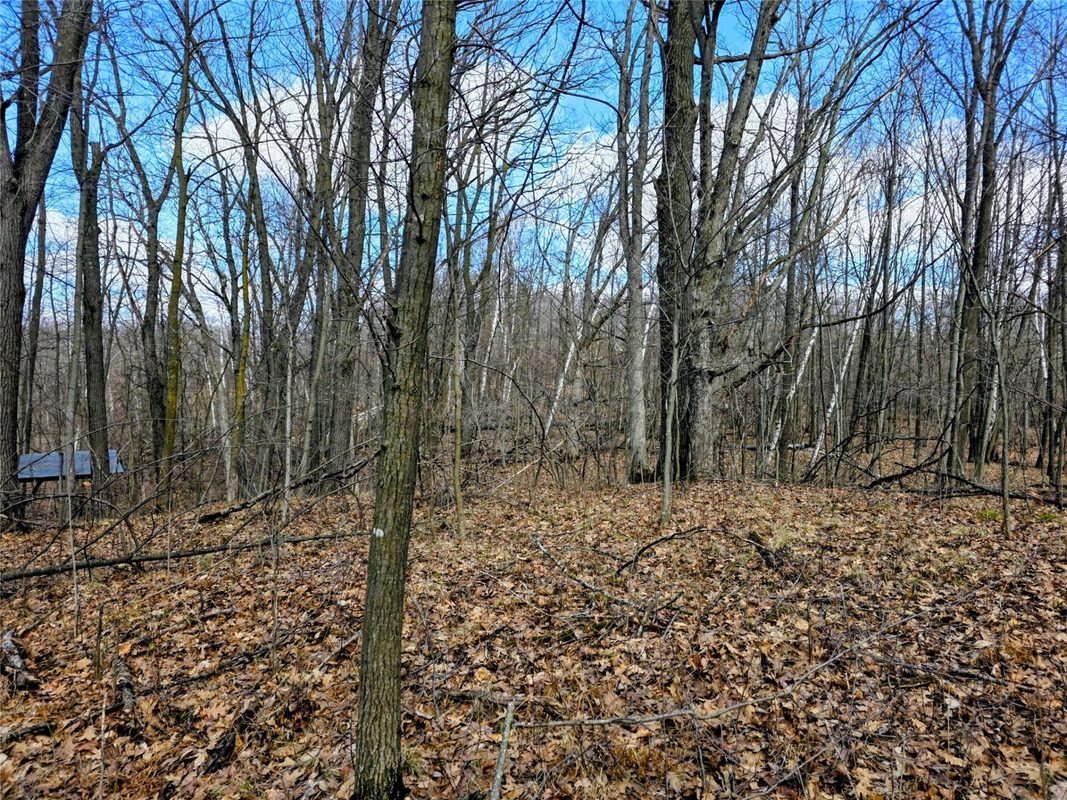 00 Highway W Weyerhaeuser WI 54895 — photo 10