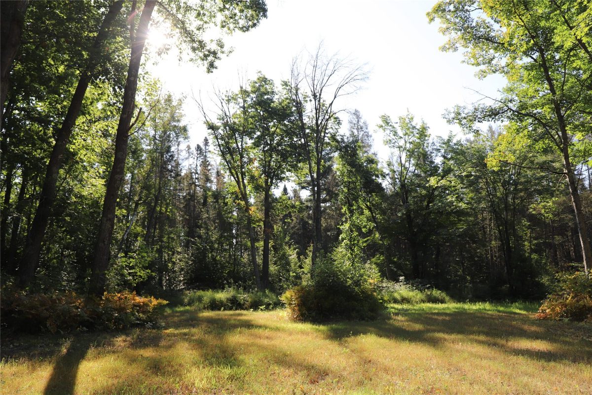 0000 Sand Lake Road, Stone Lake WI 54876 - Land house for sale - MLS #1604299 - image30