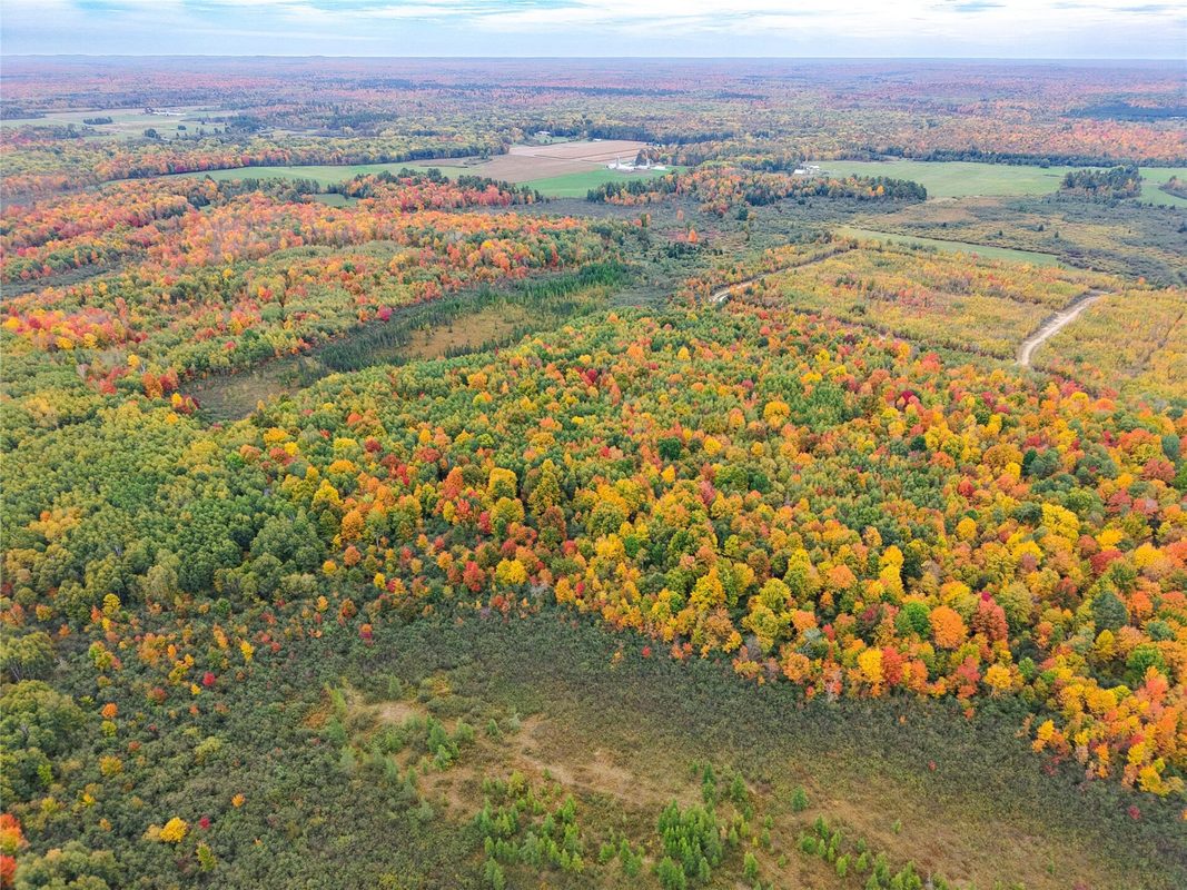0000 County Road I, Ogema WI 54459 - Land house for sale - MLS #1605613 - image11