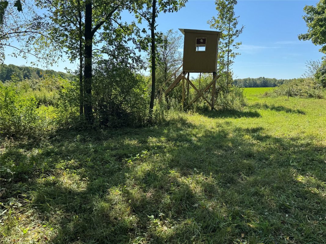 OOO County Road L, Merrill WI 54452 - Land house for sale - MLS #1605059 - image35
