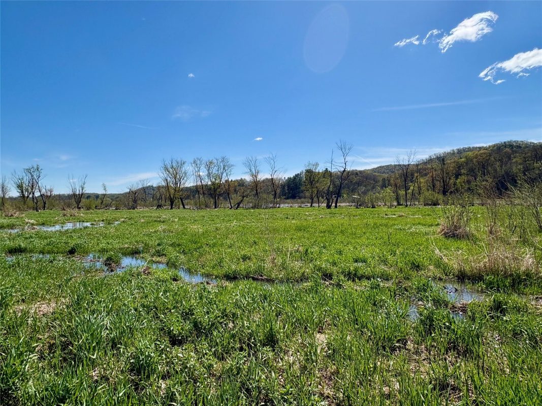 0 Hwy 37, Alma, WI — photo 13