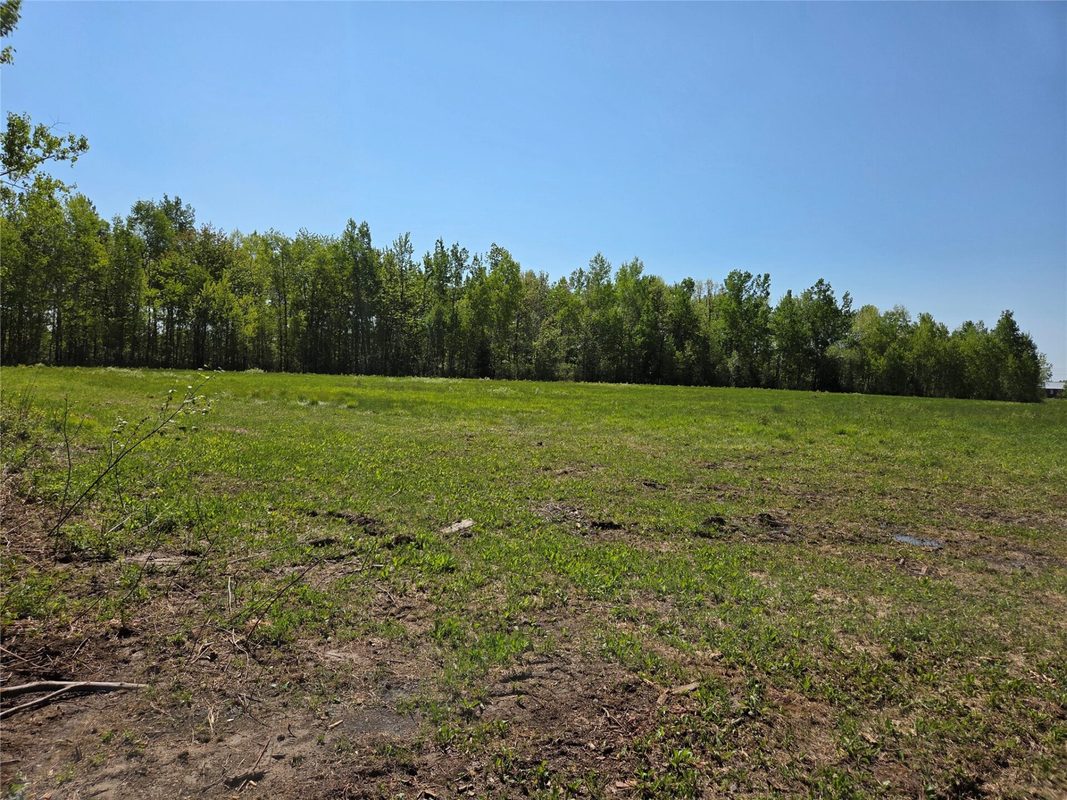 N6957 Lincoln Road, Bruce WI 54819 - Land house for sale - MLS #1604410 - image3