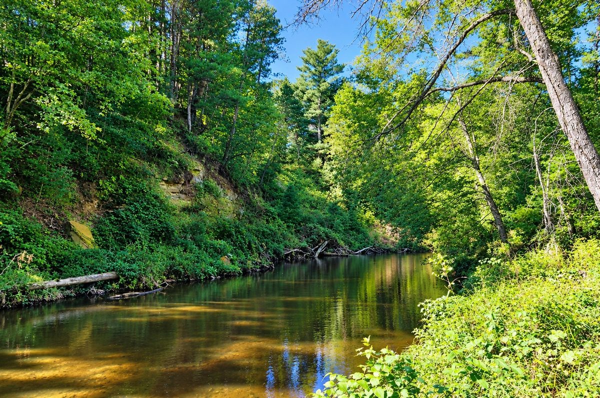 N9105 Flood -- Lot 5 Road, Black River Falls WI 54615 - Land house for sale - MLS #1605206 - image4