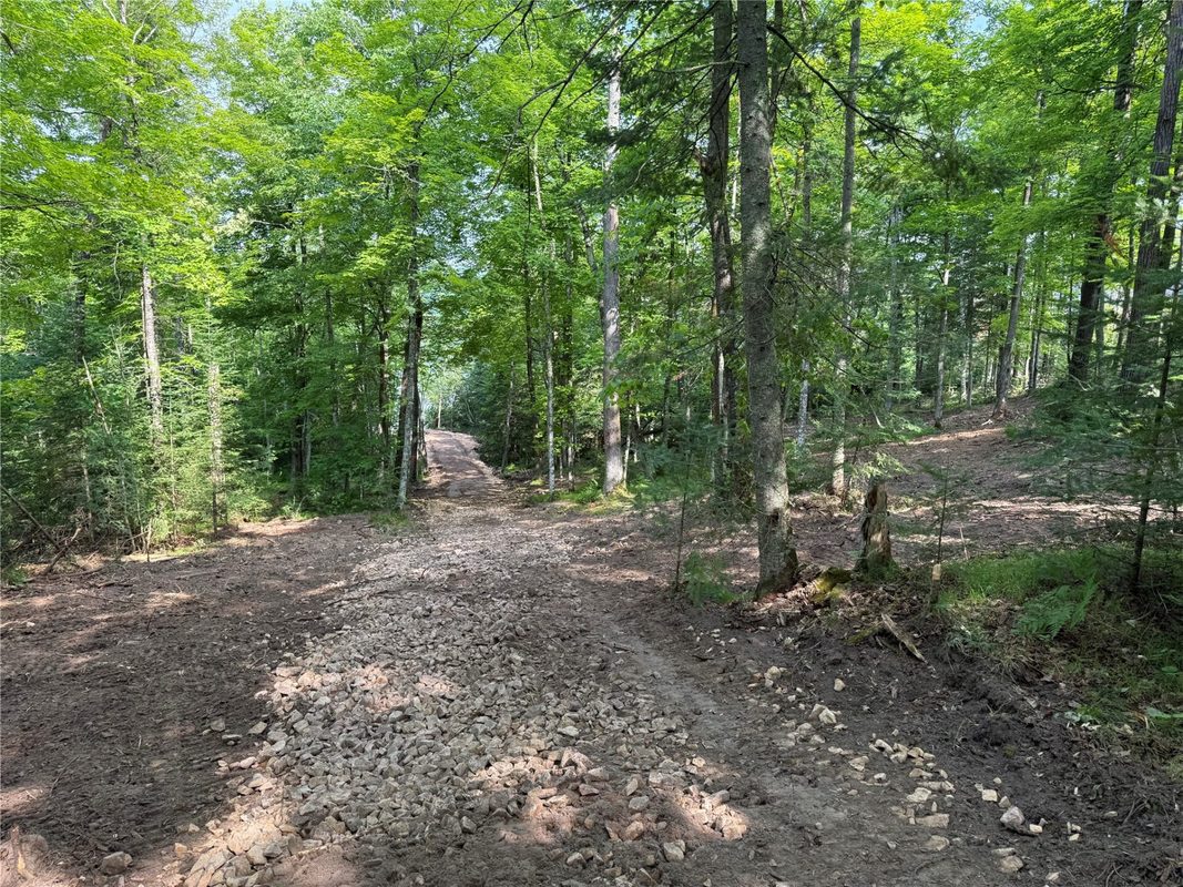 XXX Long Lake Road, Stone Lake WI 54876 - Land house for sale - MLS #1602892 - image17
