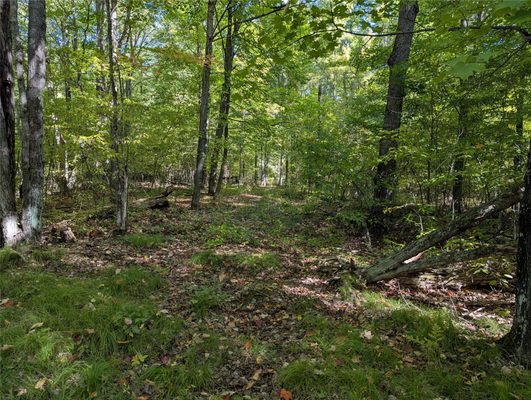 Lot 17 Rabbit Run  Ojibwa WI 54862