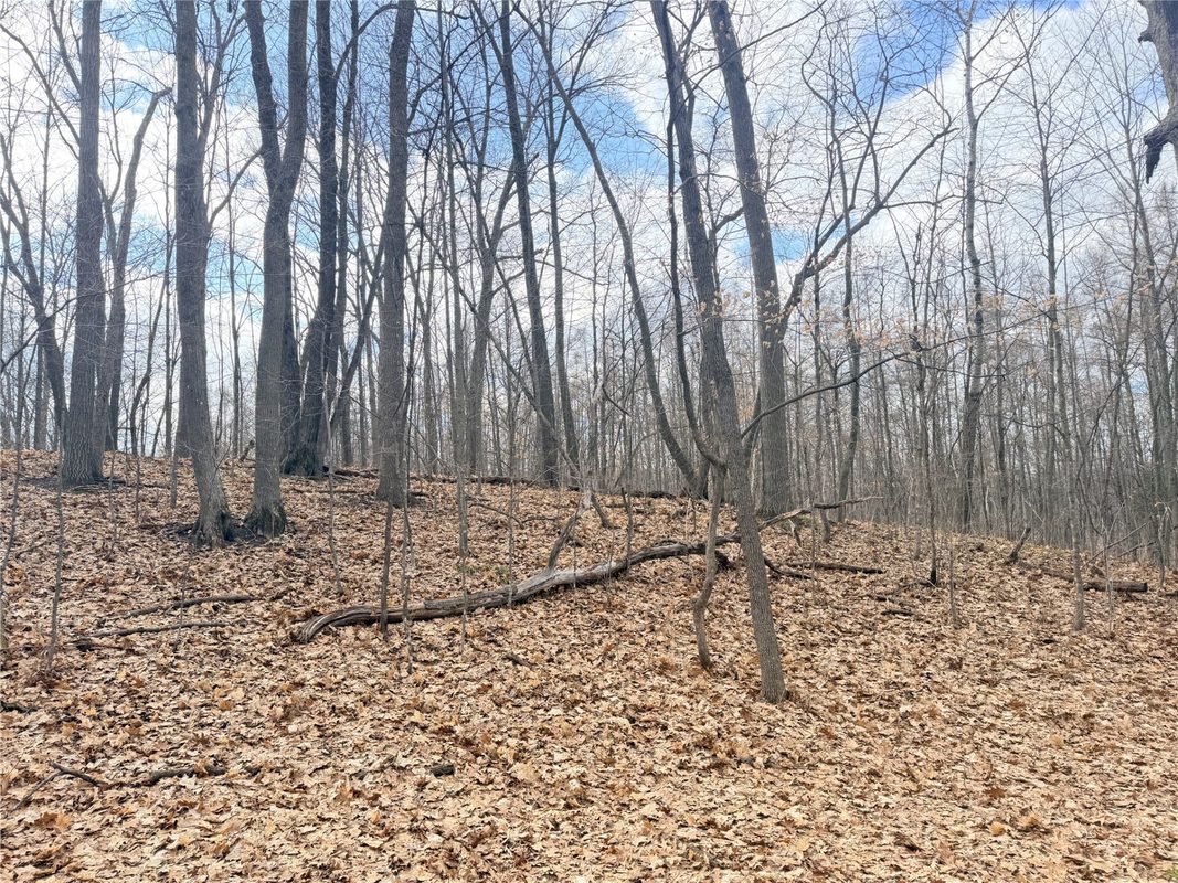 Residential at 0 216th Street, Luck, WI 54853 — photo 15