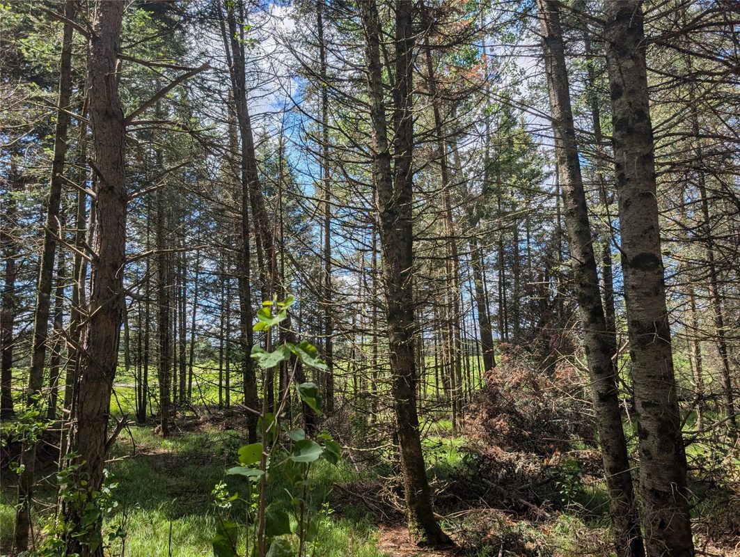 Lot 4 Main Road, Springbrook WI 54875 - Land house for sale - MLS #1602445 - image19