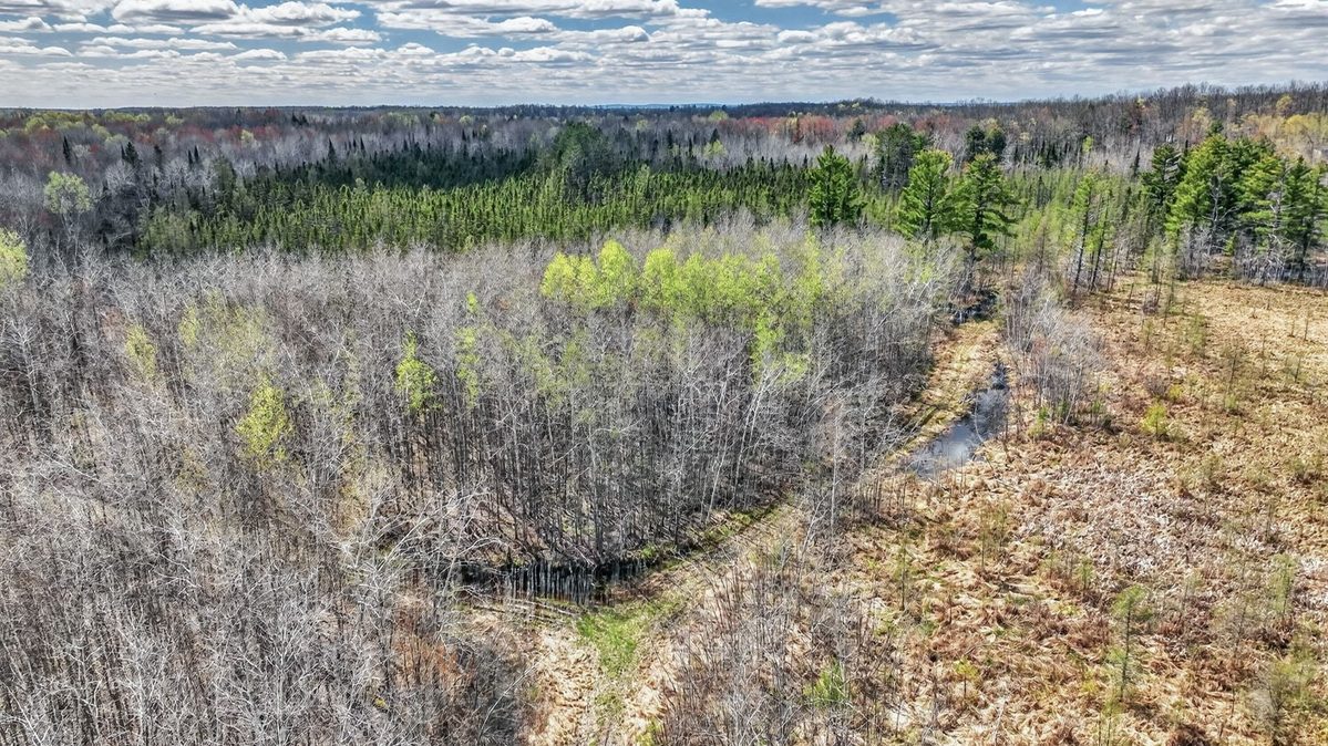 W6283 County Road I, Ladysmith, WI — photo 44