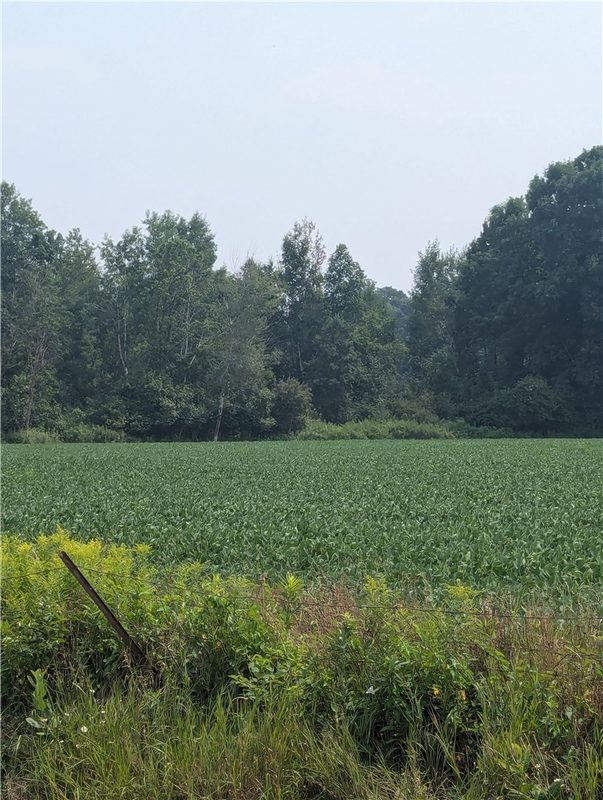 Lot 3 County Highway W, Holcombe, WI — photo 4