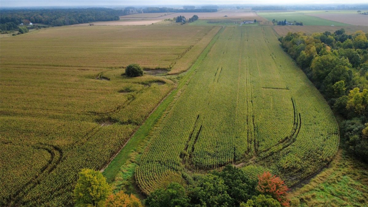 000 Miller Avenue, Owen WI 54460 - Land house for sale - MLS #1605509 - image12