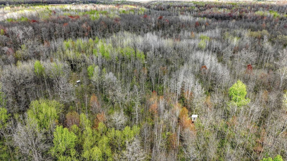 27.6 Acres off Helena Drive, Conrath WI 54731 - Land house for sale - MLS #1605499 - image5