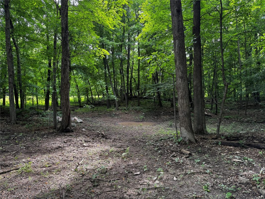 XXX County Road I, Balsam Lake WI 54810 - Land house for sale - MLS #1602879 - image8