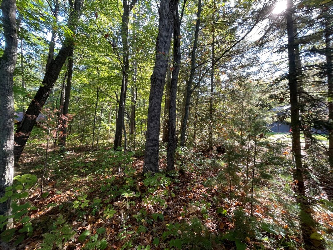 6073 Elsie Road, Stone Lake WI 54876 - Land house for sale - MLS #1602616 - image21