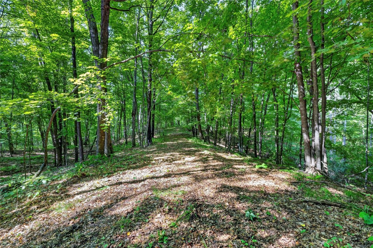 XXX County Hwy B, Shell Lake WI 54871 - Residential house for sale - MLS #1604550 - image13