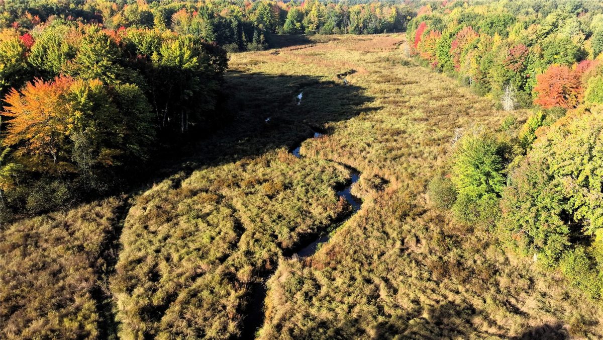 N 3368 Sawdust Rd., Bruce WI 54819 - Residential house for sale - MLS #1605552 - image44