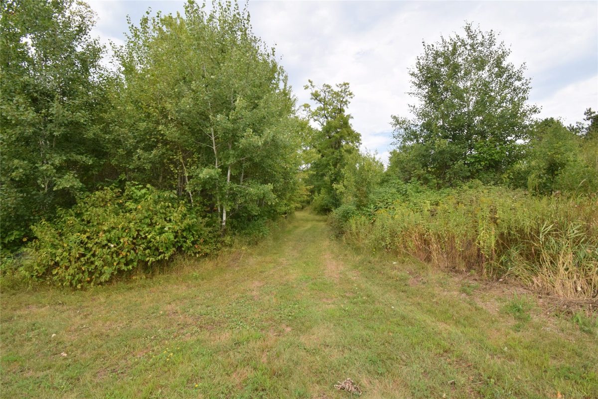 TBD State Highway 77, Danbury WI 54830 - Land house for sale - MLS #1604768 - image32