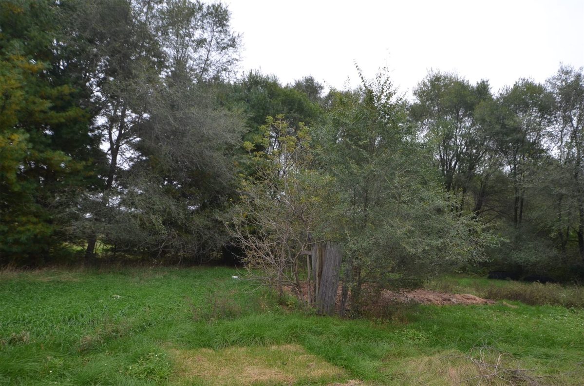N47414 County Road Y, Eleva WI 54738 - Residential house for sale - MLS #1605721 - image21