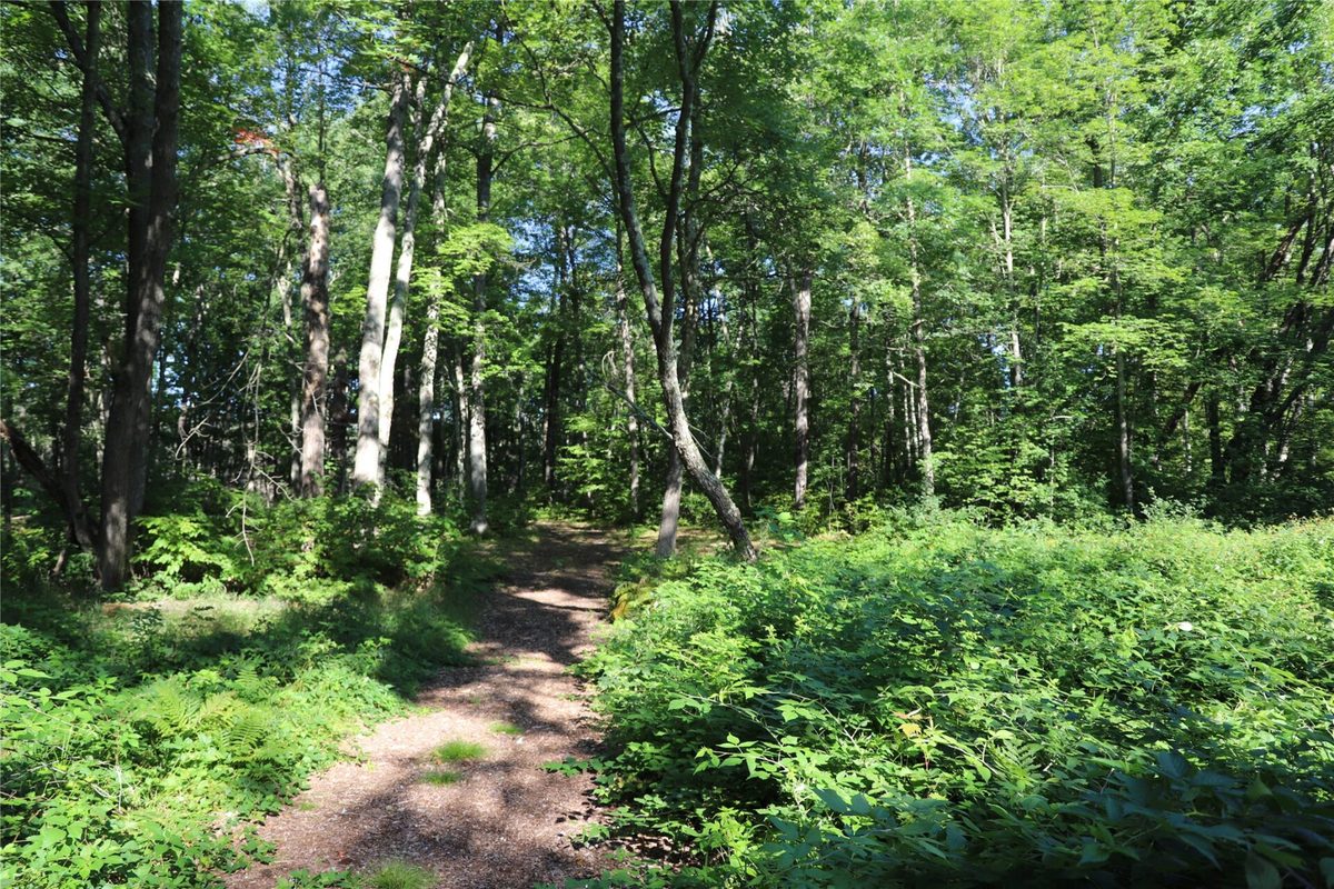 0000 Sand Lake Road, Stone Lake WI 54876 - Land house for sale - MLS #1604299 - image27