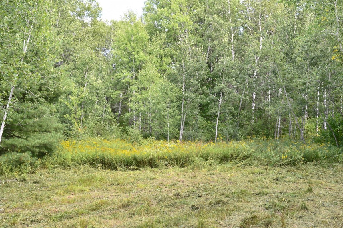 26615 Star Route Road, Bayfield WI 54814 - Land house for sale - MLS #1604800 - image28