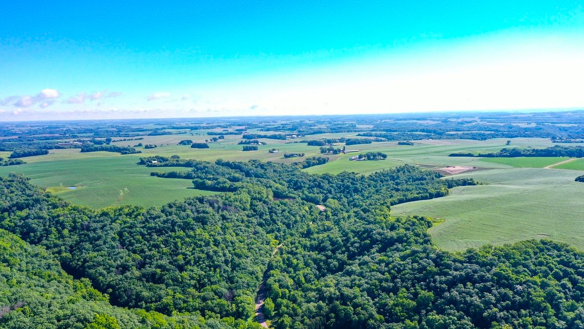 XX27 Orlin Lane, Stockholm WI 54769 - Land house for sale - MLS #1602543 - image5