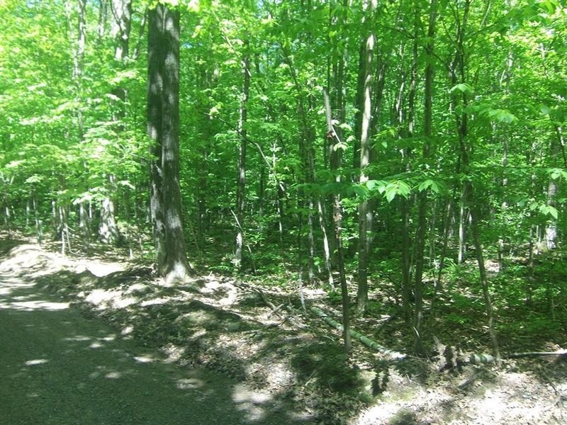 4.85 Acres Joes Road