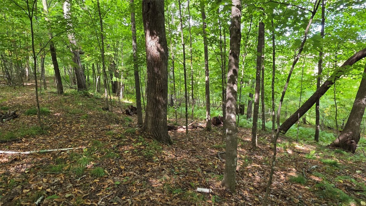 XX County Rd O, Boyceville WI 54725 - Land house for sale - MLS #1604881 - image33