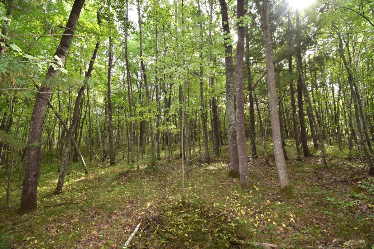 28206 Pardun Road, Danbury WI 54830 - Land house for sale - MLS #1604938 - image22