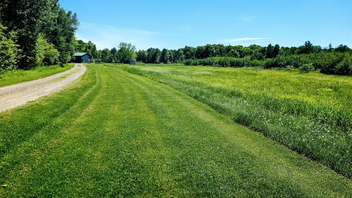 W4241 Walrath Road, Glen Flora WI 54526 - Residential house for sale - MLS #1601860 - image41