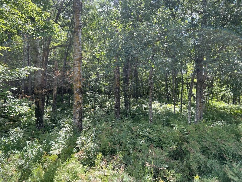 XXXX County Road B 
