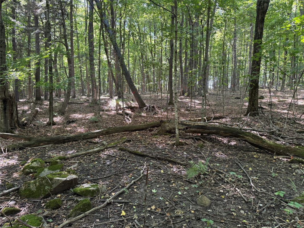 OOO County Road L, Merrill WI 54452 - Land house for sale - MLS #1605059 - image13