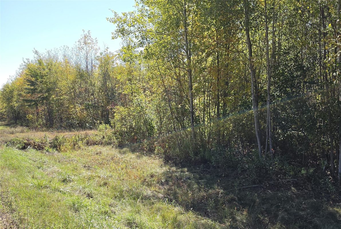 On County Highway W, Winter WI 54896 - Land house for sale - MLS #1605419 - image2