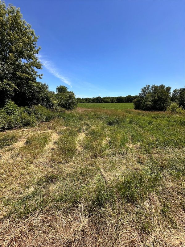 XX County Road BB, Baldwin WI 54002 - Land house for sale - MLS #1602567 - image31