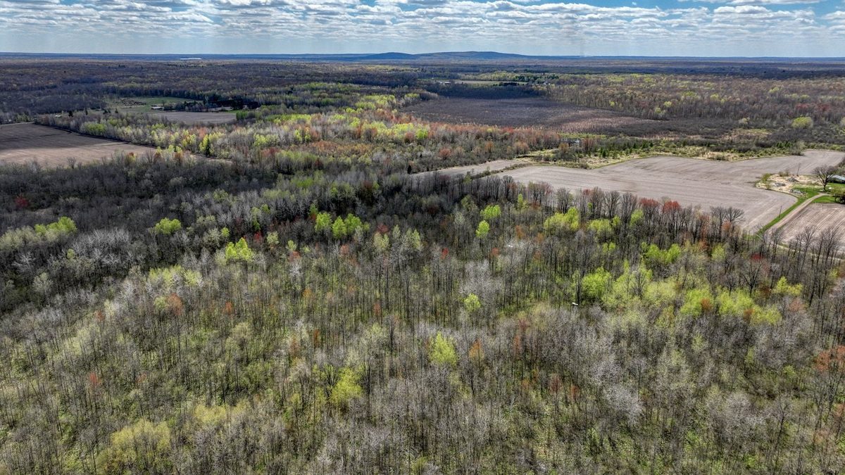 27.6 Acres off Helena Drive, Conrath WI 54731 - Land house for sale - MLS #1605499 - image14