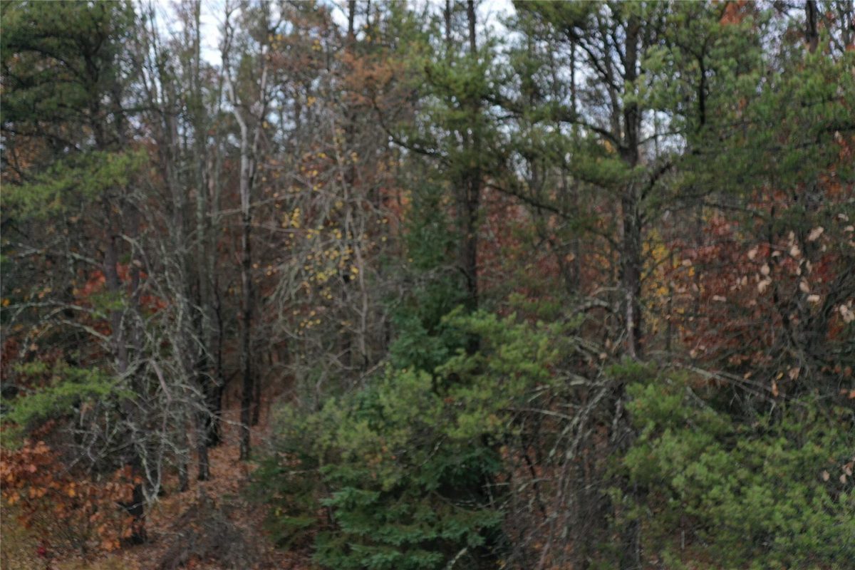 Lot 3 Spaulding Road, Grantsburg WI 54840 - Land house for sale - MLS #1606200 - image5