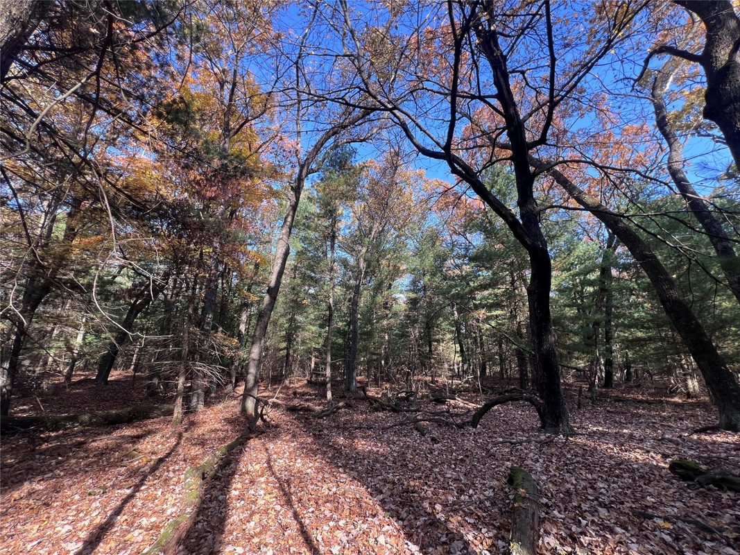 TBD Fish Drive, Grand Marsh WI 53936 - Land house for sale - MLS #1606229 - image4