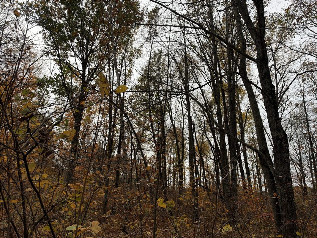 OOO RICHFIELD WOOD ROAD, Arpin WI 54410 - Land house for sale - MLS #1605936 - image26