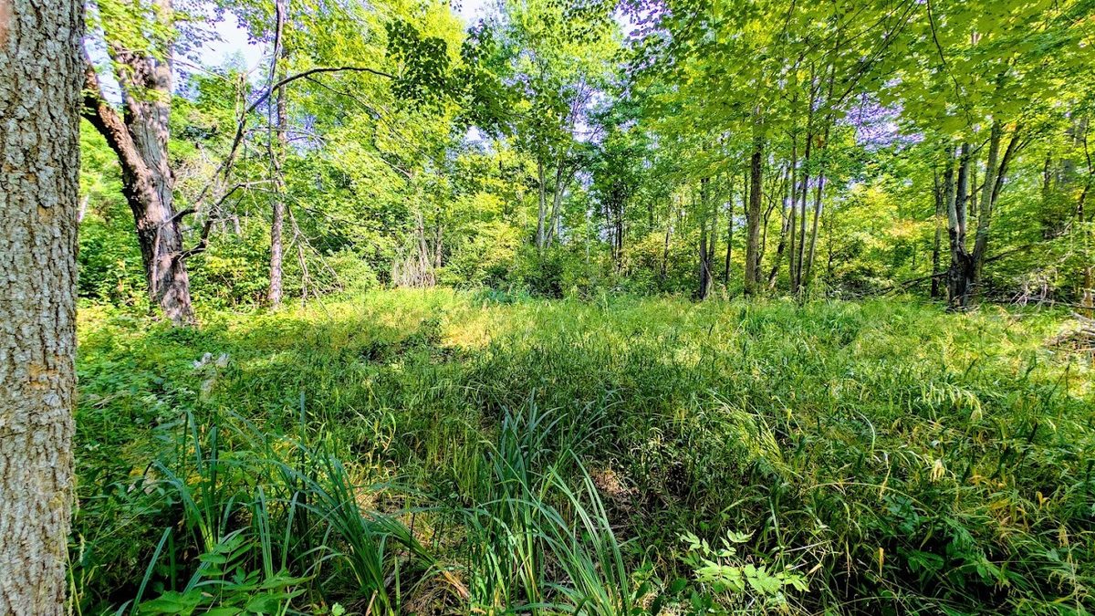 W8185 County Road J, Ladysmith WI 54848 - Land house for sale - MLS #1604406 - image29