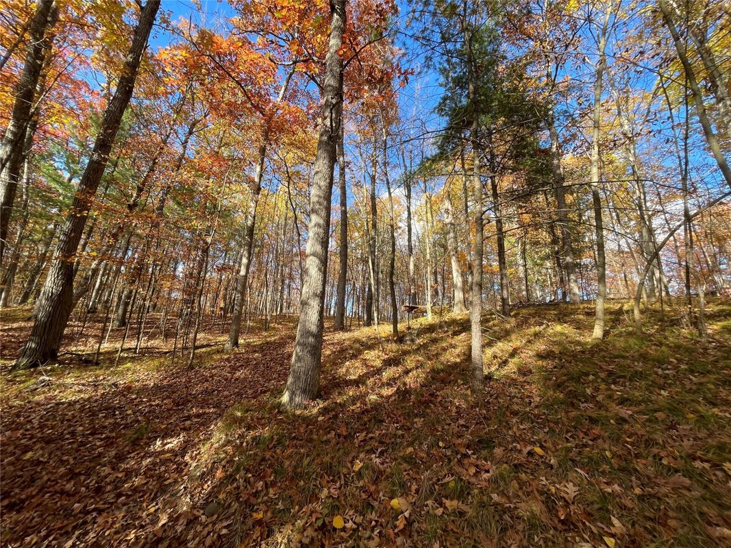 7 W Tanager Trail, Hayward, WI — photo 27